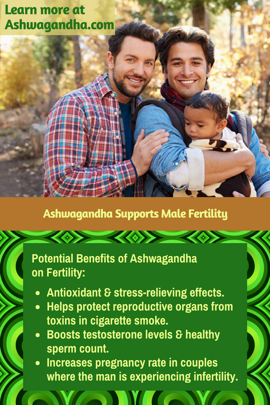 Ashwagandha may help protect and improve fertility in men.