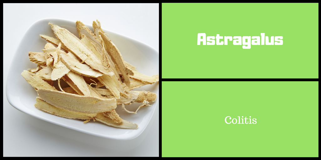 Astragalus for Colitis