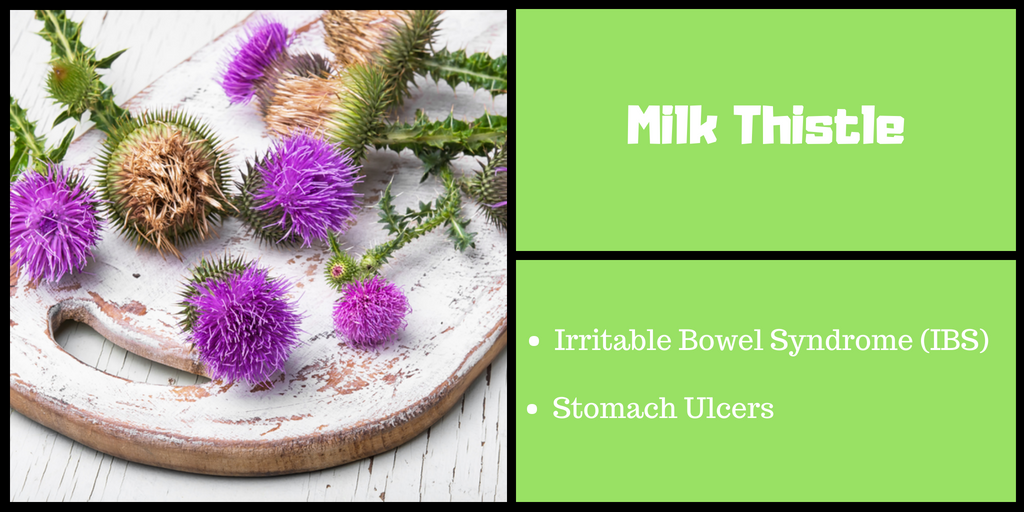 Milk Thistle for Gut Health